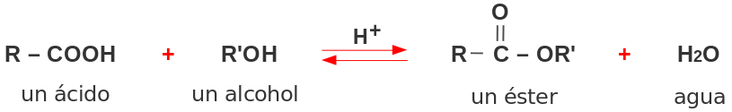 qu-mica-11-2-lecci-n-esteres-2-lecci-n-steres